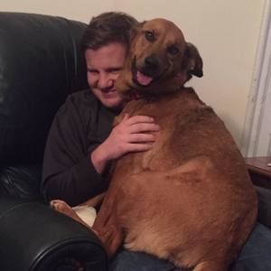 Meet your Posher, Jeremy